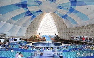 中國國旅國際旅行社 引領(lǐng)國際旅行新篇章，鑄就品質(zhì)出行典范